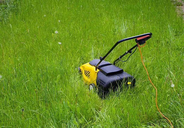 Can you mow wet grass West Palm Beach, FL