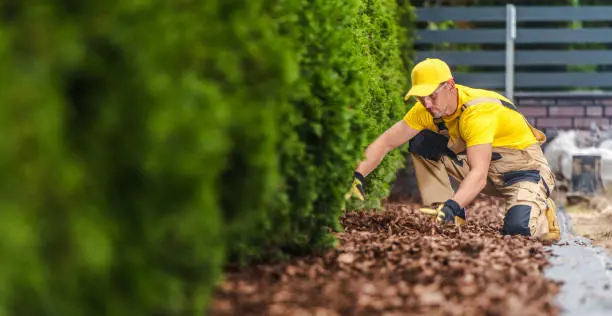 How Long Does Mulch Last West Palm Beach, FL