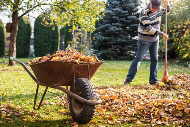 How To Clean A Backyard West Palm Beach, FL