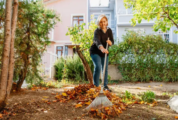 How To Clean A Backyard in West Palm Beach, FL