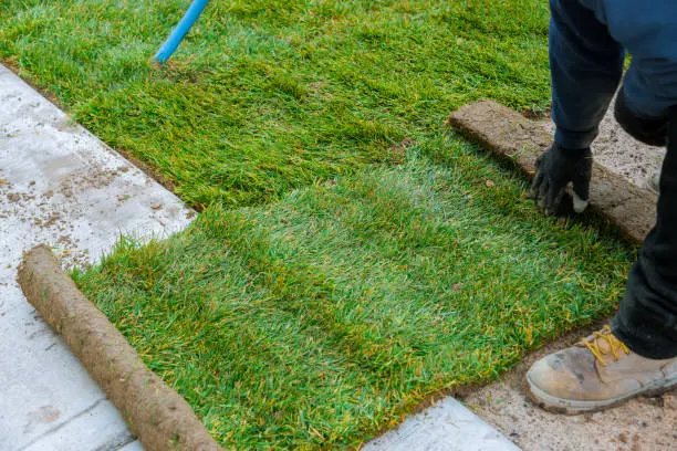 How long after installing sod can you walk on it West Palm Beach, FL