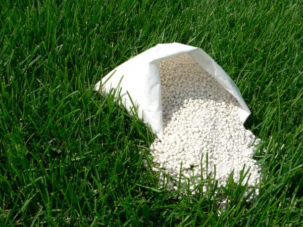 How often should you fertilize your lawn West Palm Beach, FL