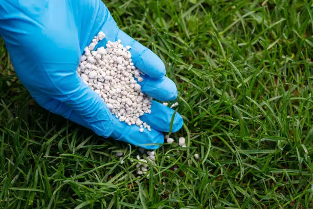 How often should you fertilize your lawn in West Palm Beach, FL