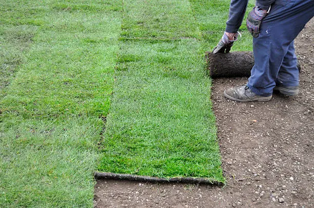 How to lay sod over existing lawn in West Palm Beach, FL