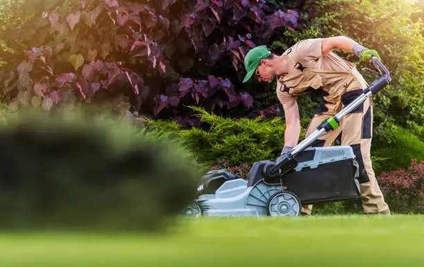 How to mow a lawn West Palm Beach, FL