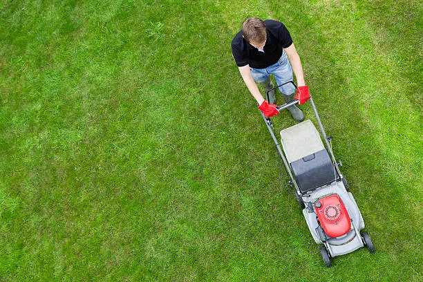 Lawn Care