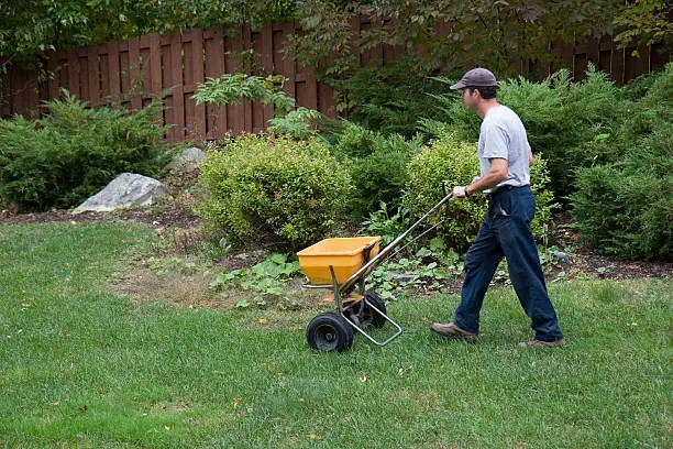 Lawn Fertilization