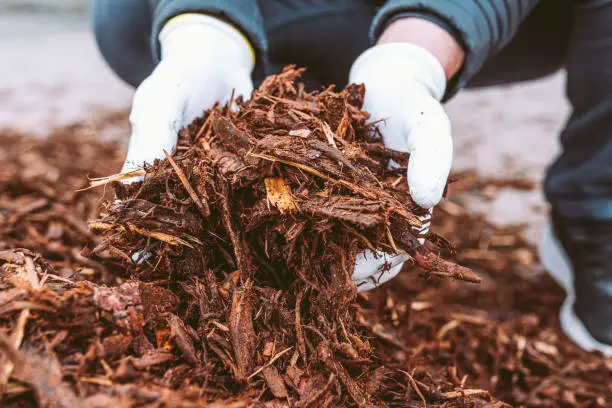 What does mulch do West Palm Beach, FL