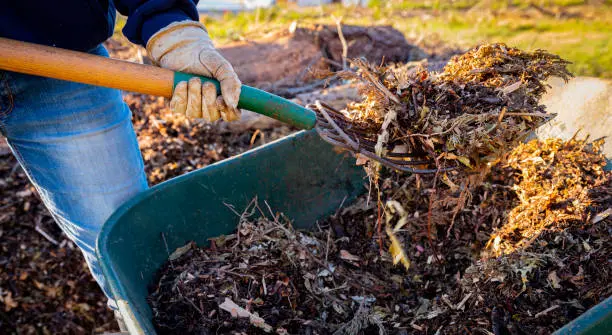 What does mulch do in West Palm Beach, FL