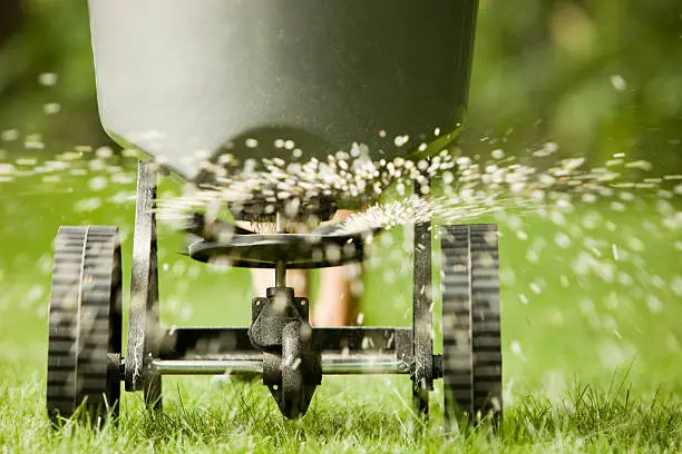 When is the best time to fertilize your lawn in West Palm Beach, FL