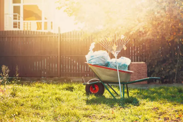 Yard Cleanup