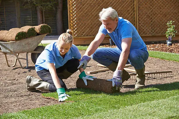 Dependable Sod Installation in West Palm Beach, FL