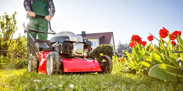 Lawn Mowing in West Palm Beach, FL