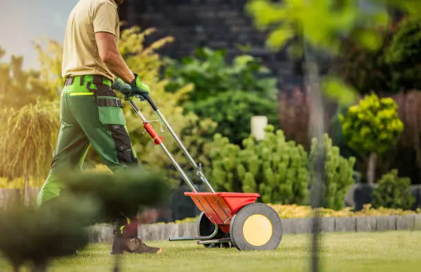 Reliable Lawn Fertilization in West Palm Beach, FL