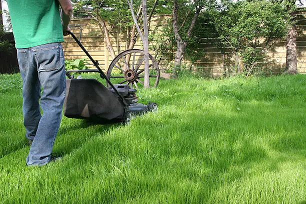 Reliable Lawn Mowing in West Palm Beach, FL