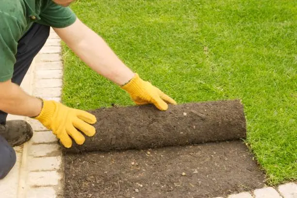 Sod Installation West Palm Beach, FL