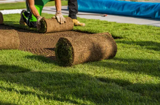 Sod Installation in West Palm Beach, FL